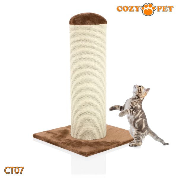 Cat Scratcher by Cozy Pet Deluxe Jumbo Scratching Post Cat Tree - CT07-Choc